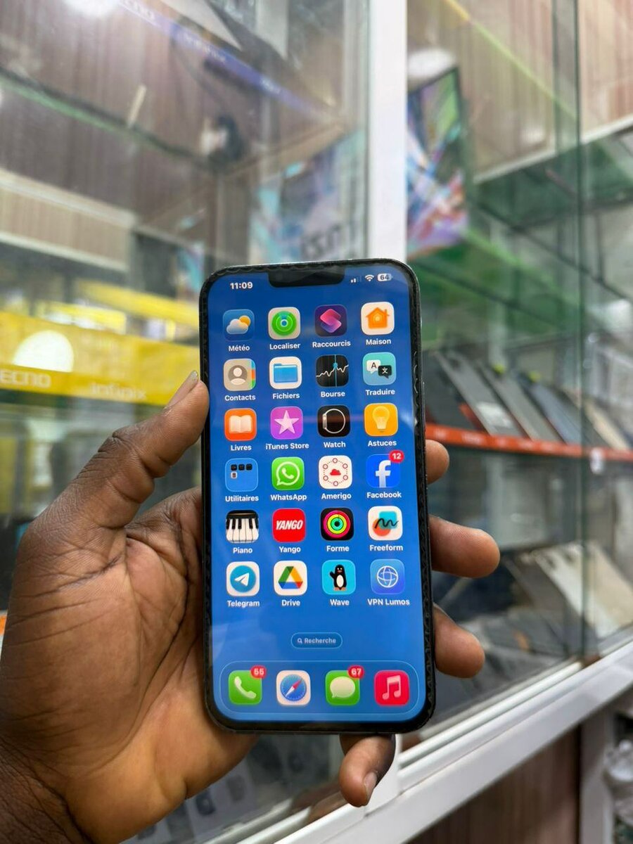 13Pro Max 256Go 2nd main