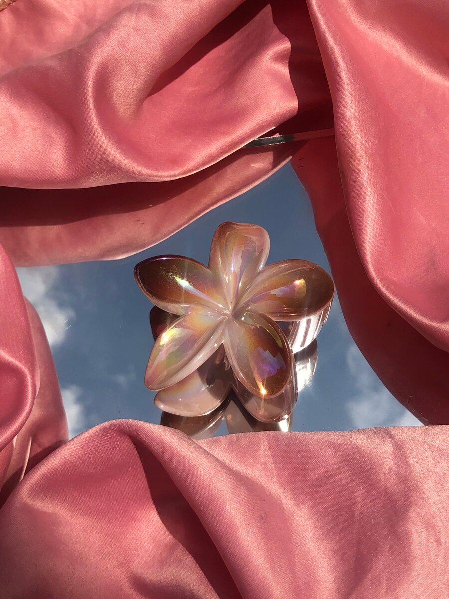 barrette + ÉLASTIQUES OFFERT