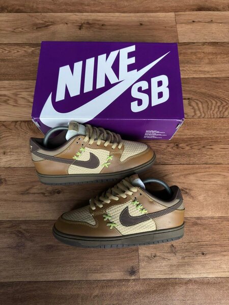 Chaussures Nike SB Skate
