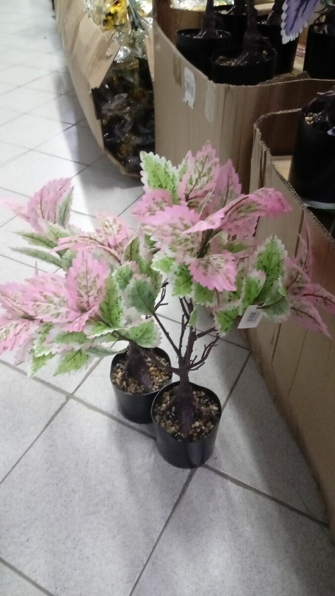 Plantes artificielles colorées