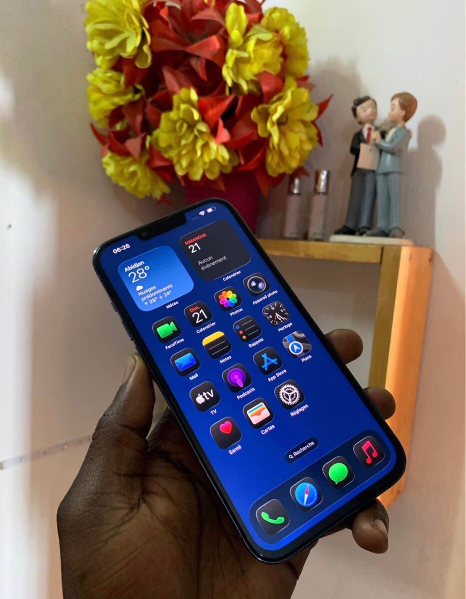 iPhone 13 Pro Max 256giga