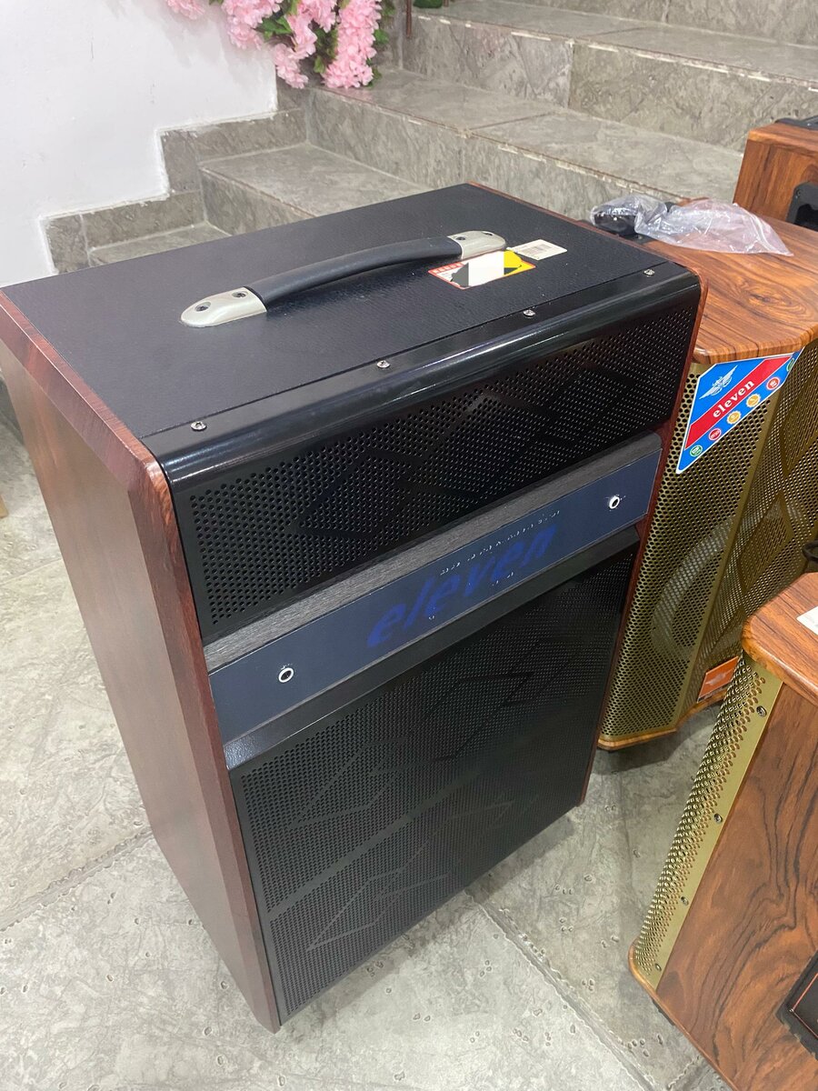 Enceinte Amplifiée Portable