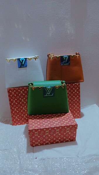 Louis vuitton capucine