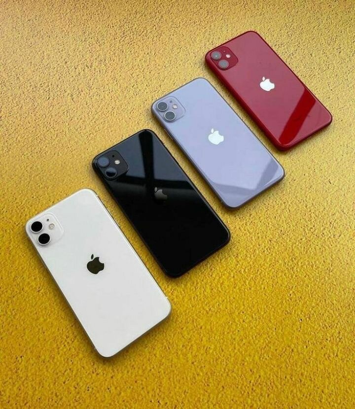 iPhone 11 - Étui Coloré