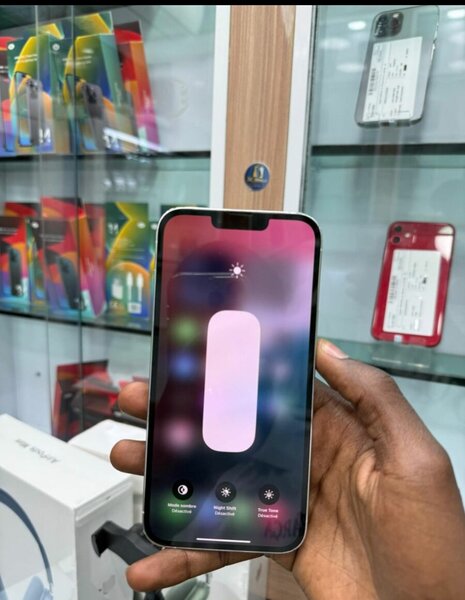 iPhone 13 Pro Max 256GB