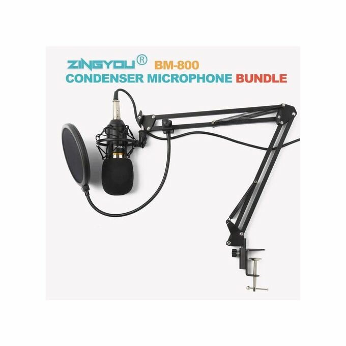Microphone ZINGYOU BM-800