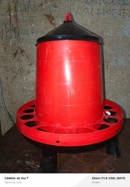 Distributeur de nourriture pour volaille