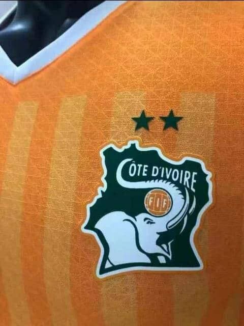 Maillot Côte d'Ivoire Puma