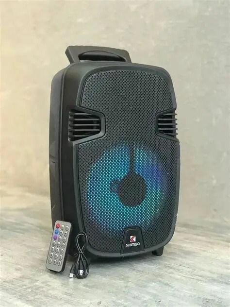 Enceinte Portable Bluetooth Karaoké