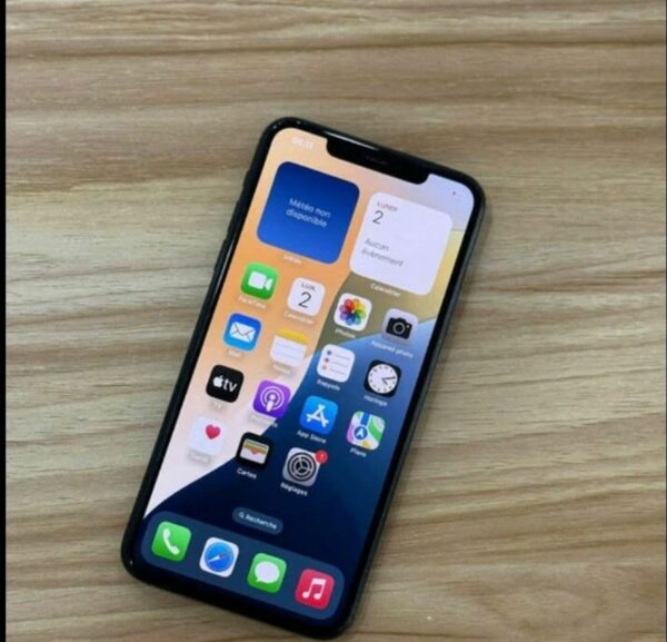 iPhone 11 Pro max Gris