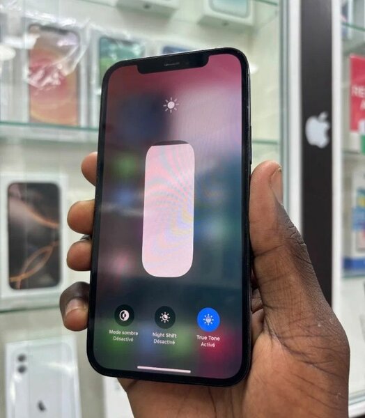 iPhone 12 Pro Max 128 Go