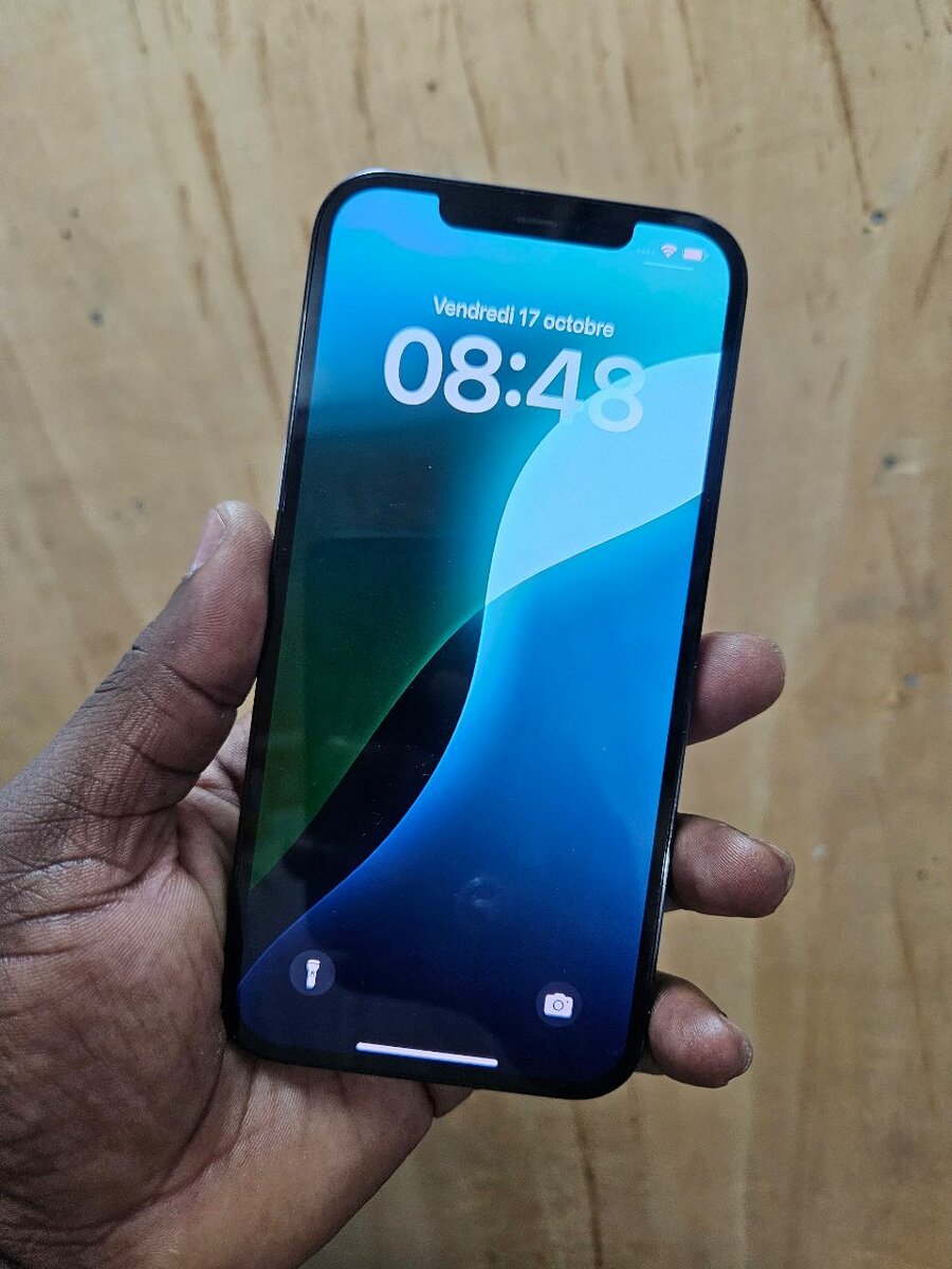 Iphone 12 pro max 256go