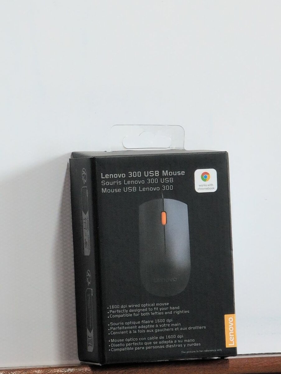 Souris Lenovo 300 USB