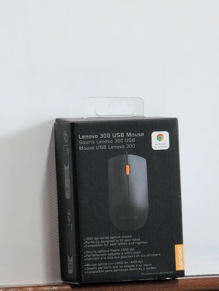 Souris Lenovo 300 USB