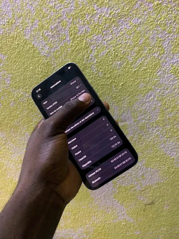 iPhone 12 Pro Max Bleu