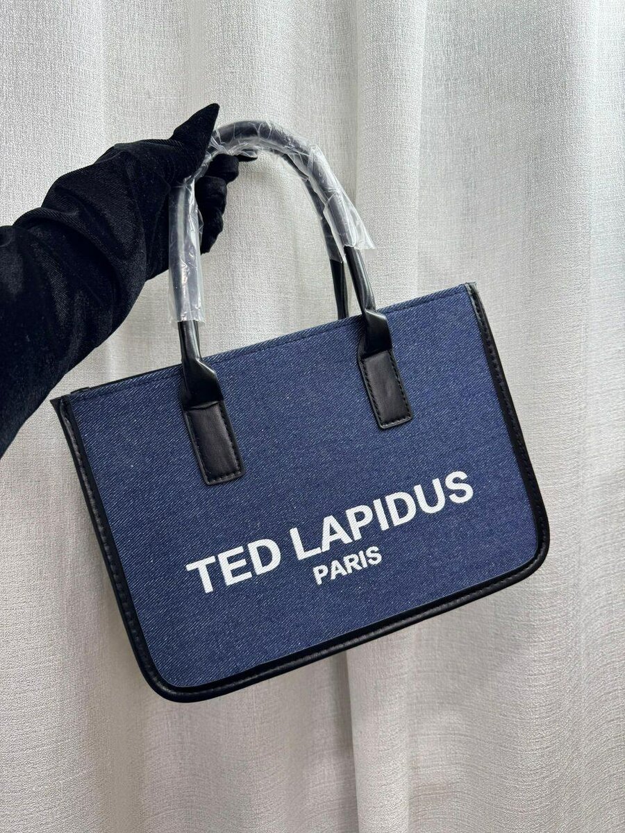 Sac à main Ted Lapidus chic