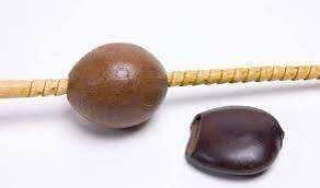 Instrument de musique