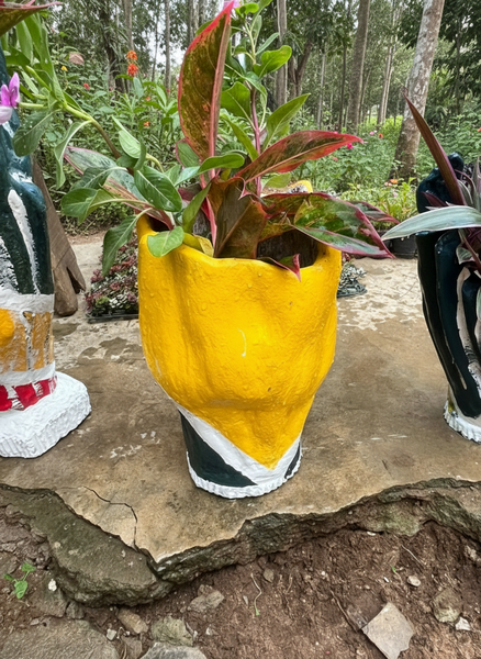 Pot de Plantes Extérieur Coloré