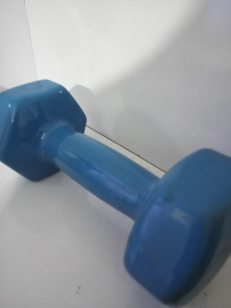 Haltère en vinyle bleu 5Kg