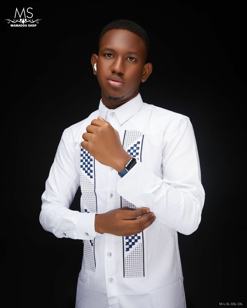 Chemises élégantes pour hommes