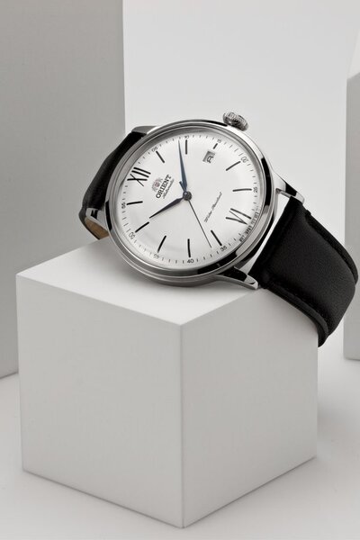 Montres élégantes pour hommes