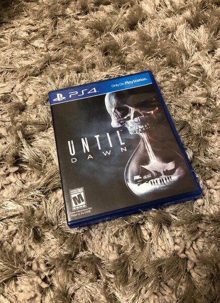 Jeu PS4 Until Dawn