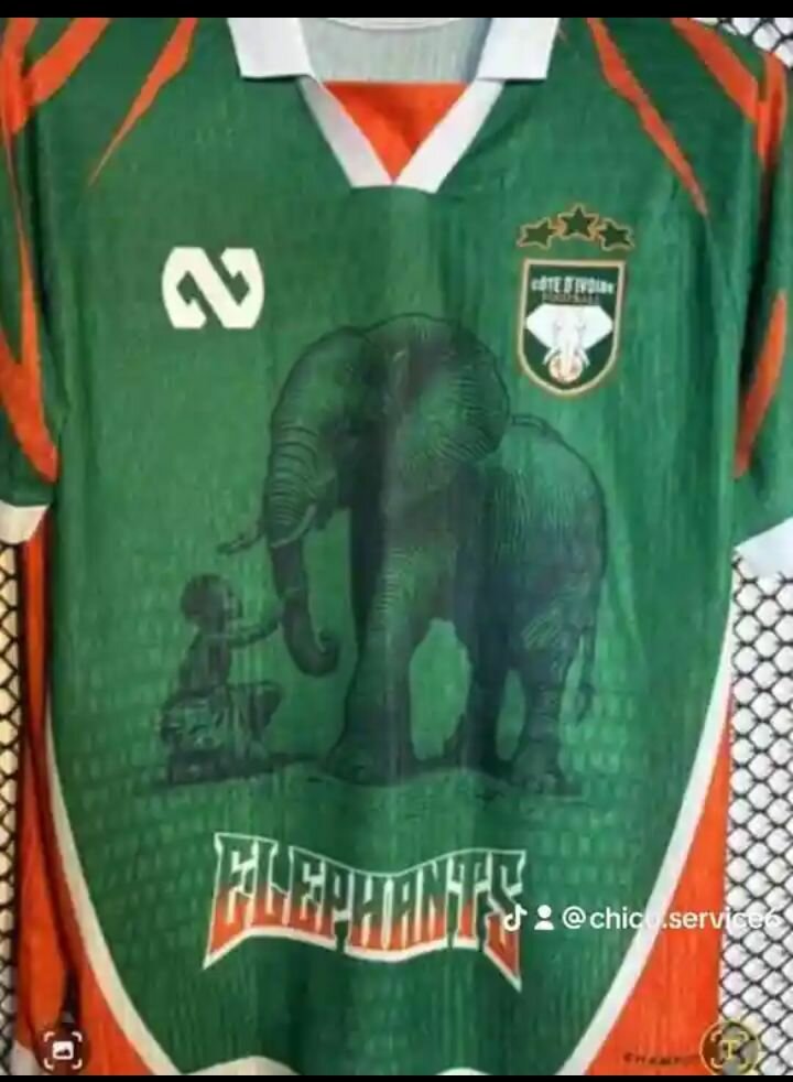 Maillot de Football Côte d'Ivoire