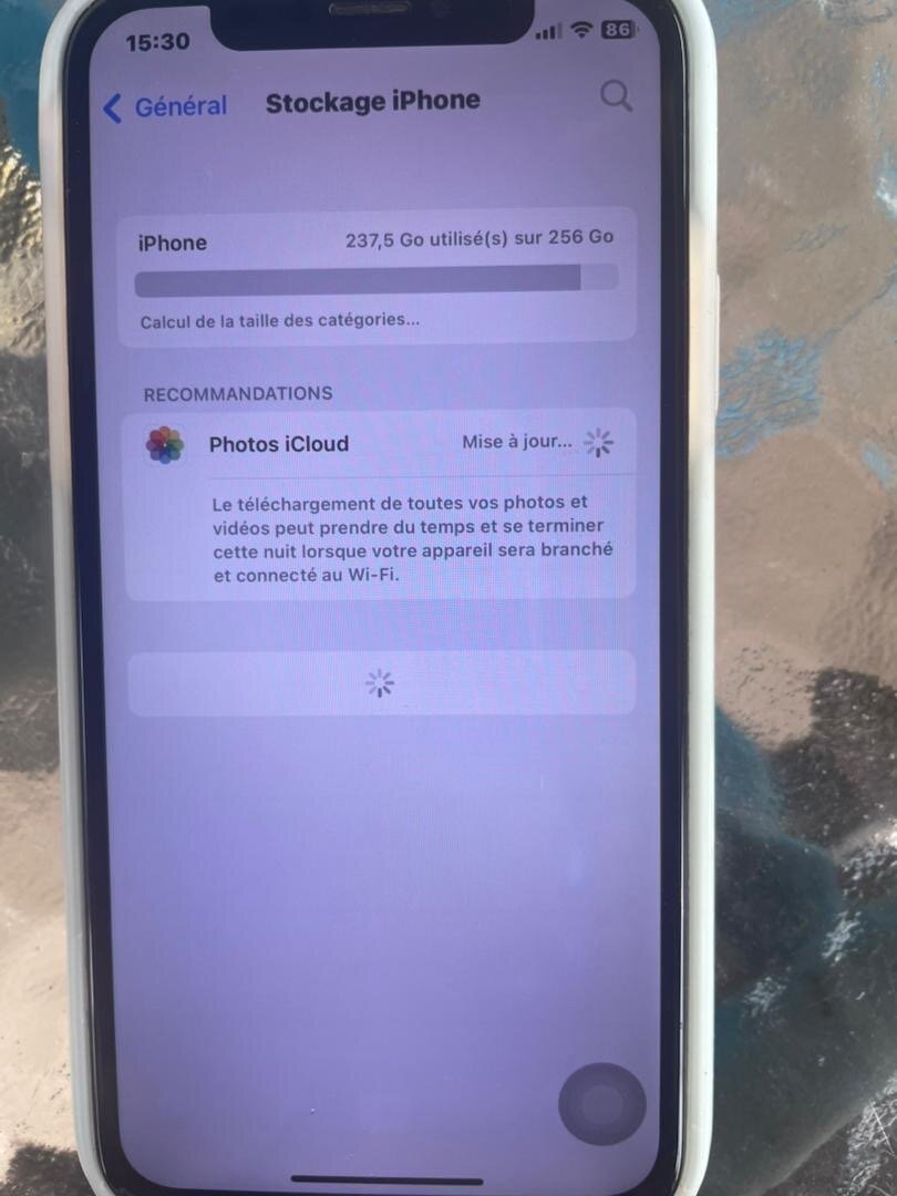 iPhone X 256 Go débloqué