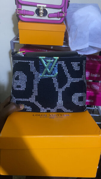 Sac Louis Vuitton élégant