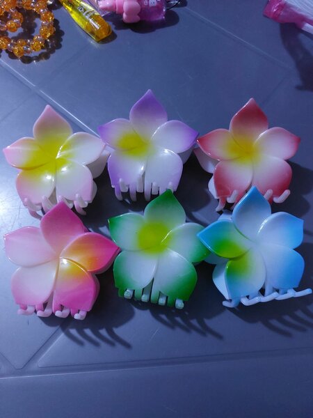 Pinces à cheveux fleur multicolore