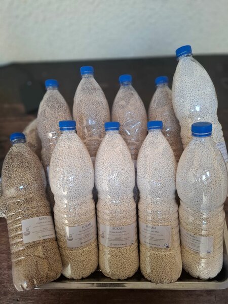 Grains de mil/maïs 1,5L