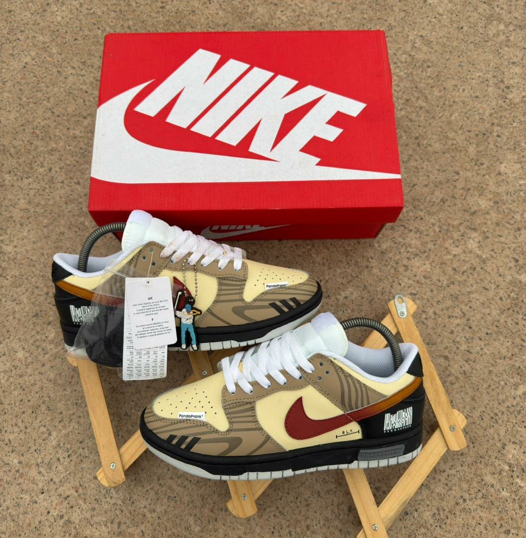 Chaussures Nike SB Colorées