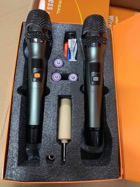 Microphone sans fil double pour karaoke