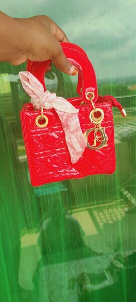 Sac à main élégant brillant