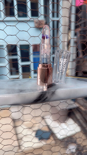 Ensemble de rouge à lèvres hydratant