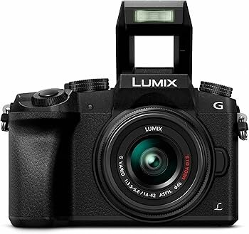 Lumix Mirrorless Camera