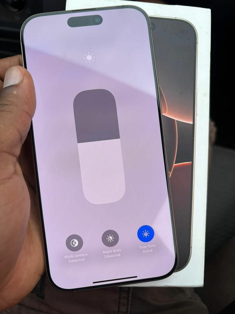 16 pro max 256Go CE Batterie