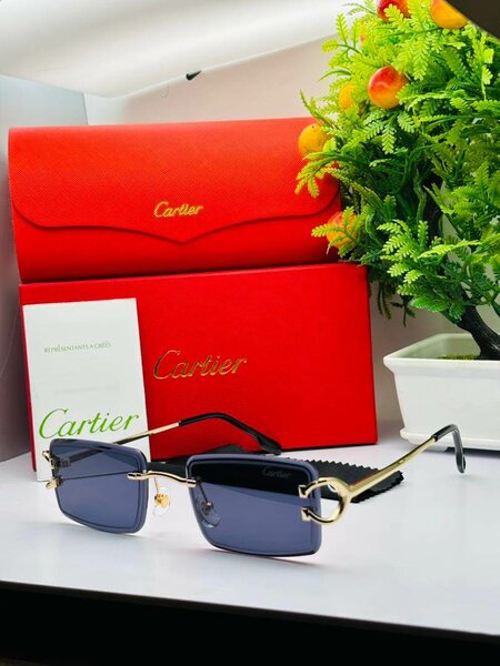 Lunettes de soleil Cartier élégantes