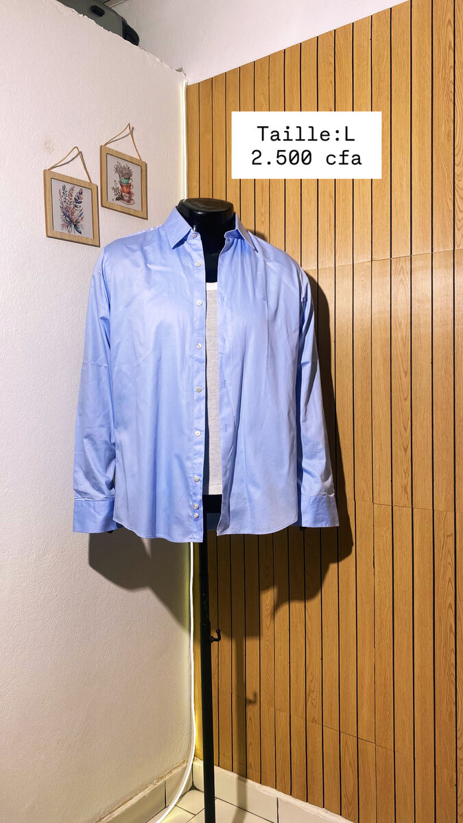 Chemise bleue classique L