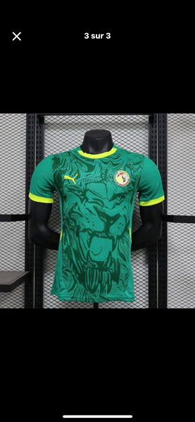 Maillot Équipe Sénégal Puma