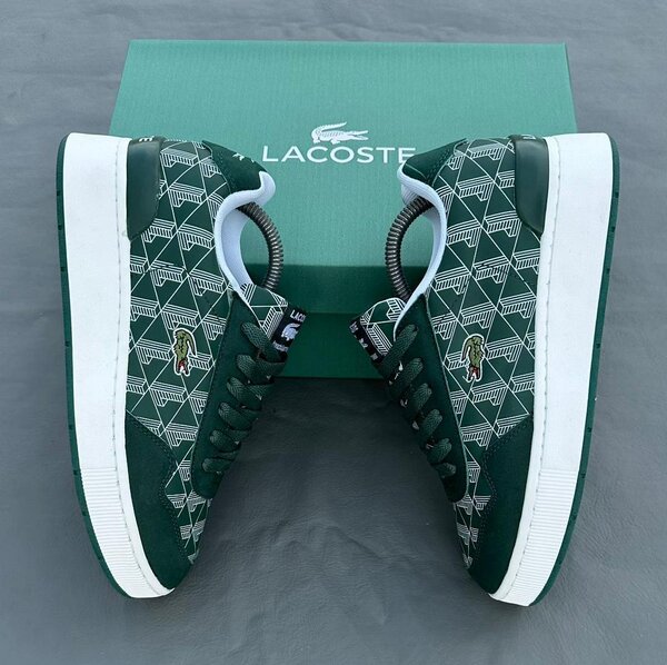 Baskets Lacoste Vert Élégantes