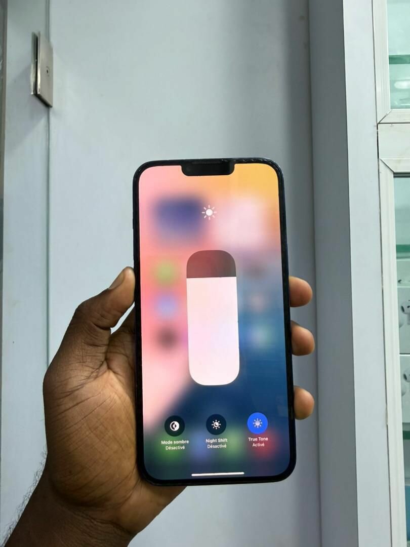 iPhone 13 Pro Max 256Go tout