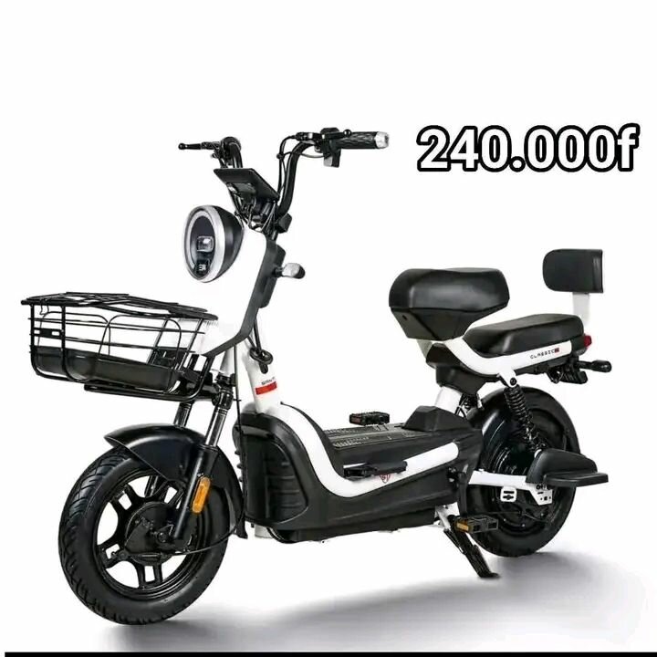 E-bikes élégants et performants