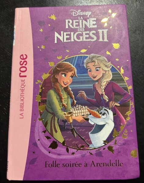 Livre La Reine des Neiges 2