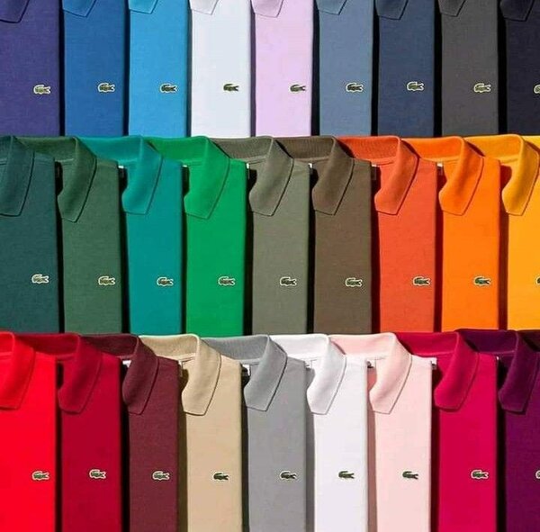 Polos en coton colorées