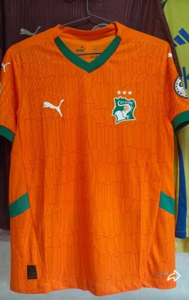 Maillot Côte d'Ivoire Puma