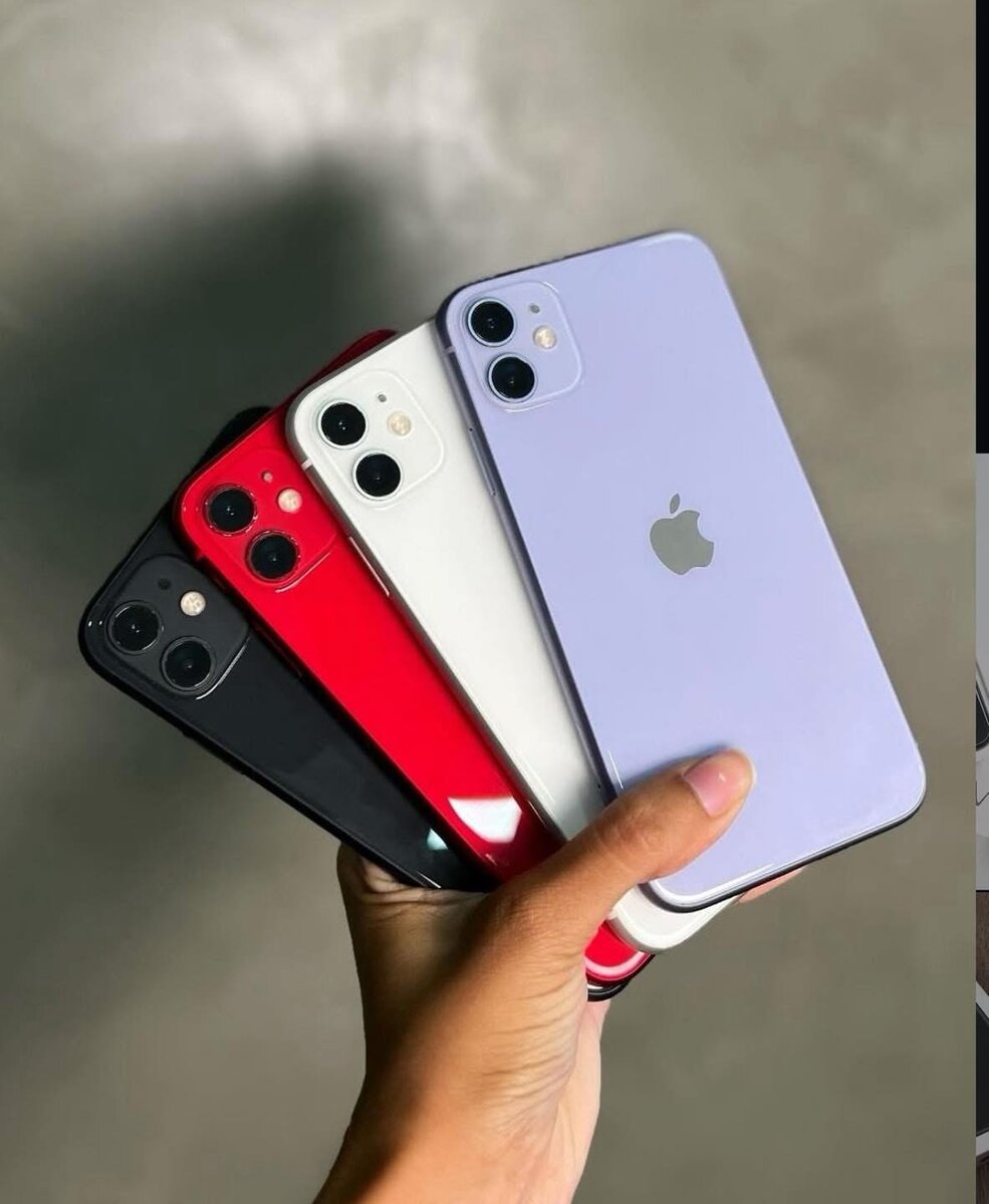 iPhone 11 - Couleurs variées