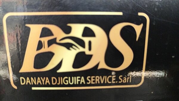 DDS batterie service