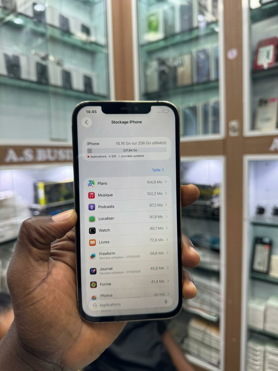 12 pro max 256Go juste écran c