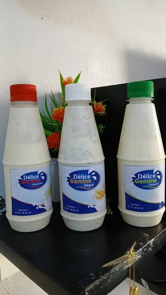 Délice Gemina Yaourt